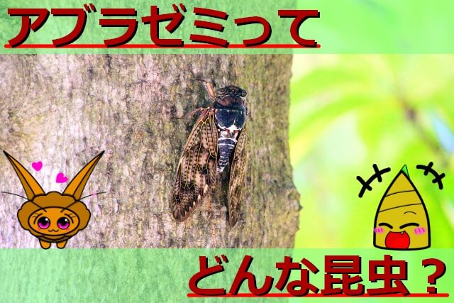 Thumbnail of post image 012